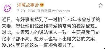 吃瓜大赛作文,一场吃瓜大赛的狂欢盛宴